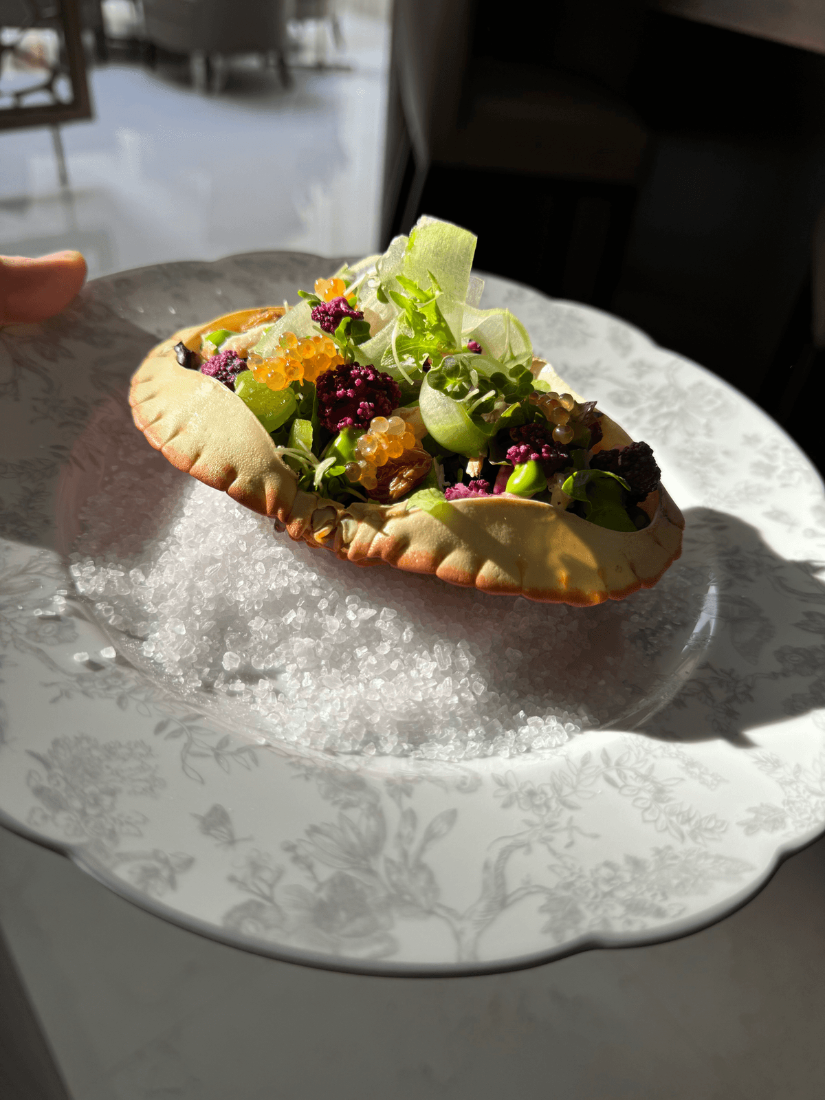 A dressed crab shell filled with salad leaves, herbs, citrus and pomegranate seeds, on a patterned plate
