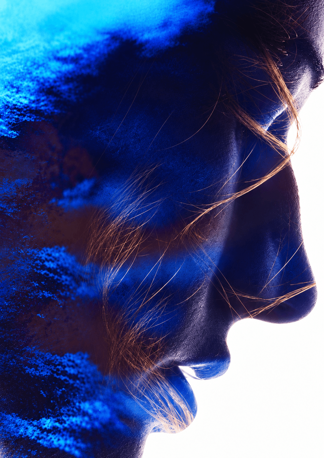 A profile in shadow, lit blue: the cover artwork of the BioCheffing brochure