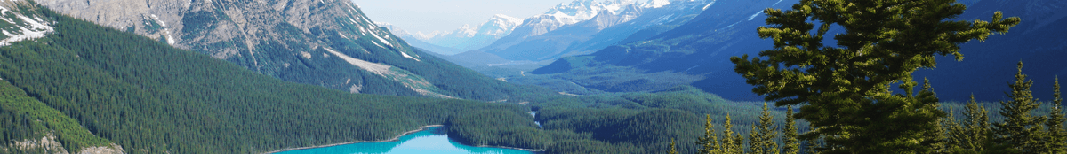 Canada: a lake and pine forest beneath the Rocky Mountains